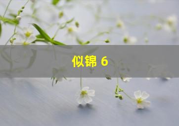 似锦 6